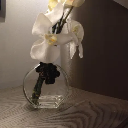 Apartamento Patio Del Arrayan 아파트